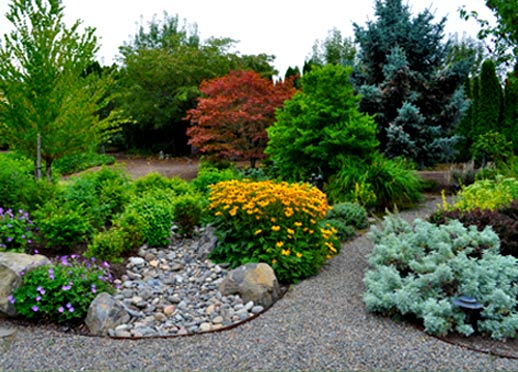 garden with different types of plants and trees